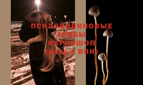 эйфоретик Абаза