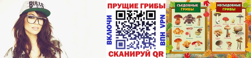 закладка Калининград Псилоцибиновые грибы мухоморы